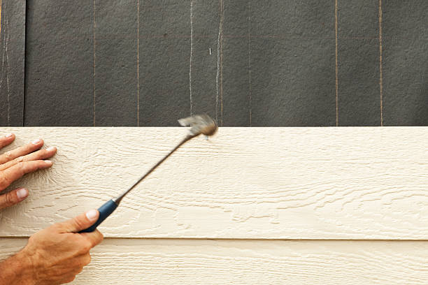 Best Fiber Cement Siding Installation  in USA